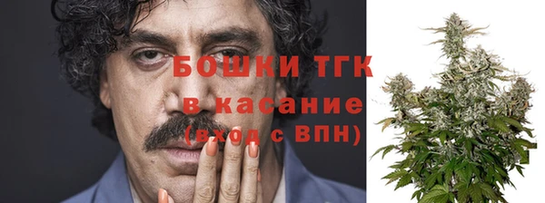 кокс Богородицк