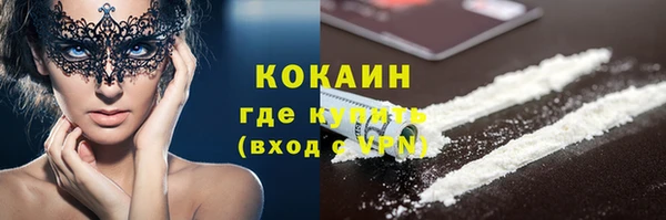 кокс Богородицк