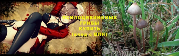прущий лед Богородск