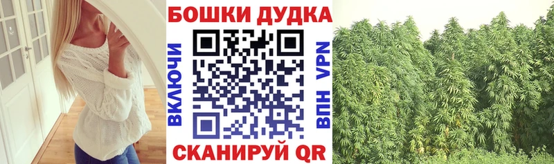 Каннабис OG Kush  Купить  Звенигород 